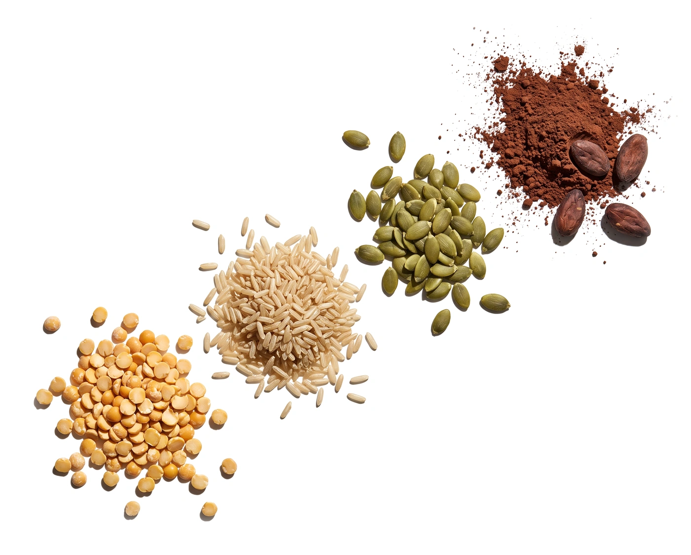 Składniki Clean Protein czekoladowego: groch, brązowy ryż, pestki dyni, kakao